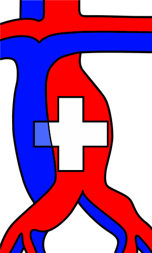 Schweizerische Gesellschaft für Gefässchirurgie